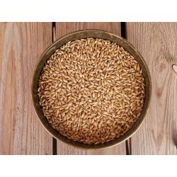 Weyermann Caramunich II. maláta