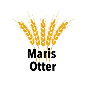 Maris Otter prémium angol Pale Ale maláta
