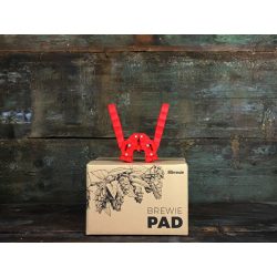 Kétkaros koronalezáró