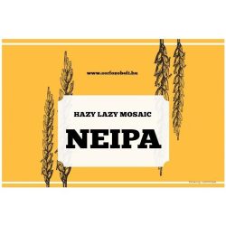Hazy Lazy NEIPA 21L receptcsomag
