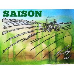 Falusi Aratósör Belga Saison