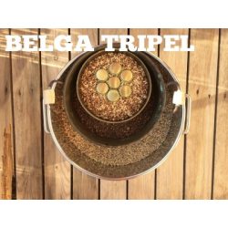 Brüsszelezős Belga Tripel 21L